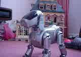 Aibo wakes up