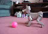Aibo sings a happy tune